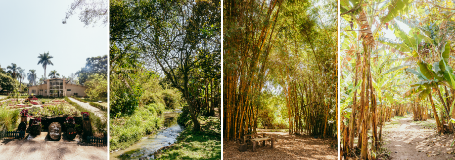 Foto principal do Ribeirão Cocaia (Linear)