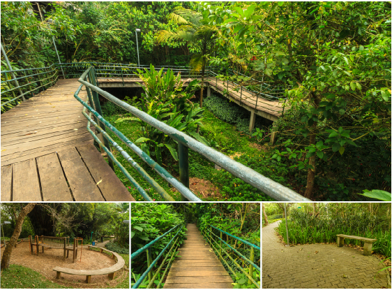 Foto 2 do Jardim Herculano