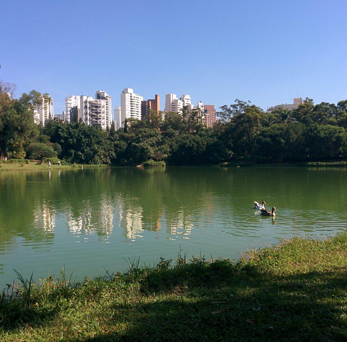 Foto 4 do Aclimação