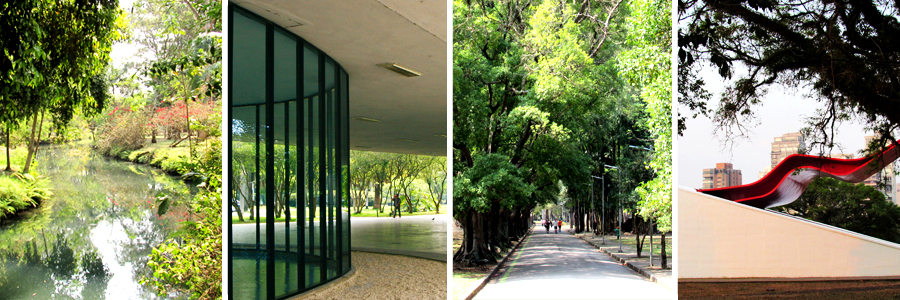 Foto 1 do Ibirapuera