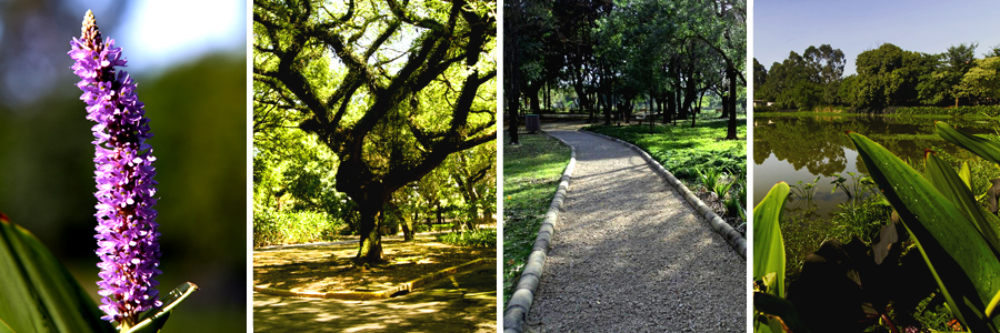 Foto principal do Leopoldina - Orlando Vilas Boas