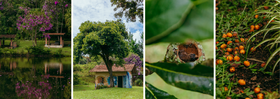 Foto principal do Nascentes do Ribeirão Colônia