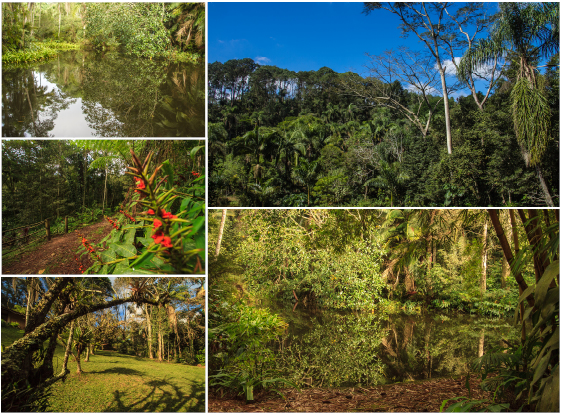 Foto 1 do Natural Itaim