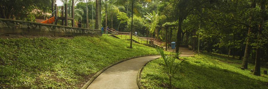 Foto 4 do Lajeado - Izaura Pereira de Souza Franzolin