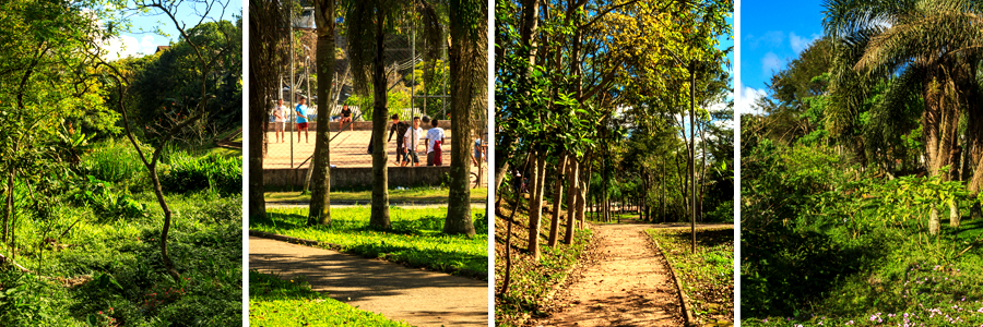 Foto principal do Parelheiros (Linear)