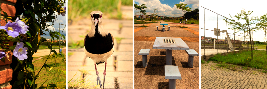 Foto principal do Ribeirão Oratório (Linear)