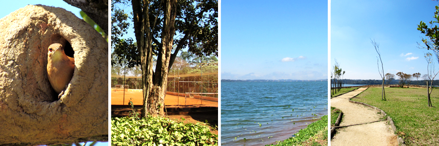 Foto principal do Jardim Prainha